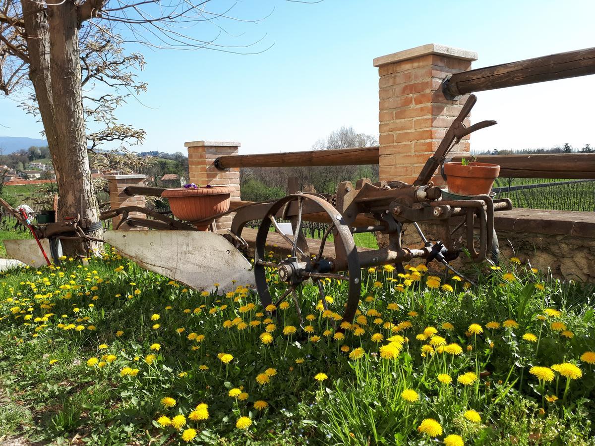 Bed and Breakfast Terre Boscaratto Susegana Exterior foto