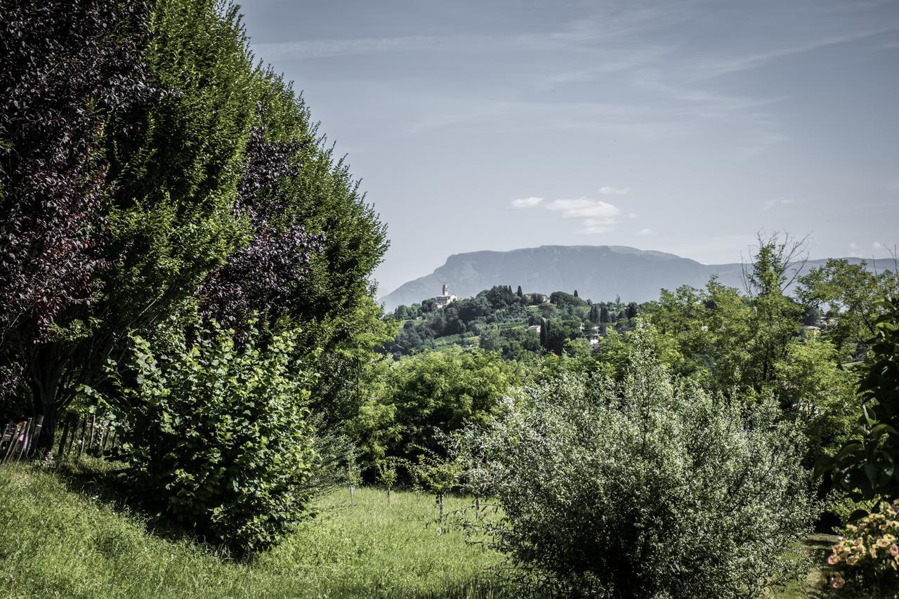 Bed and Breakfast Terre Boscaratto Susegana Exterior foto